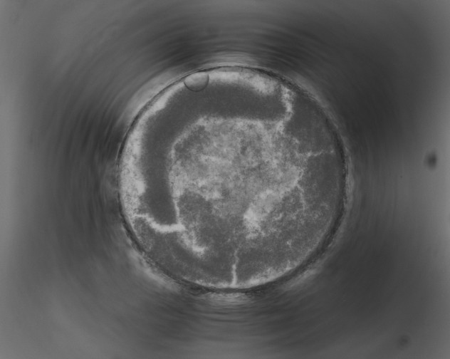 X0000115661129200912241353