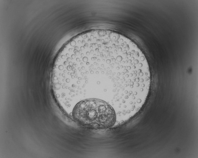 X0000115661130200912241353