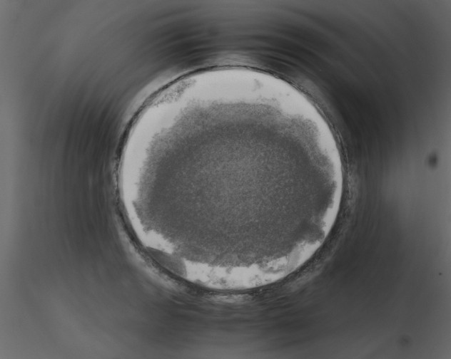 X0000115661133200912241353