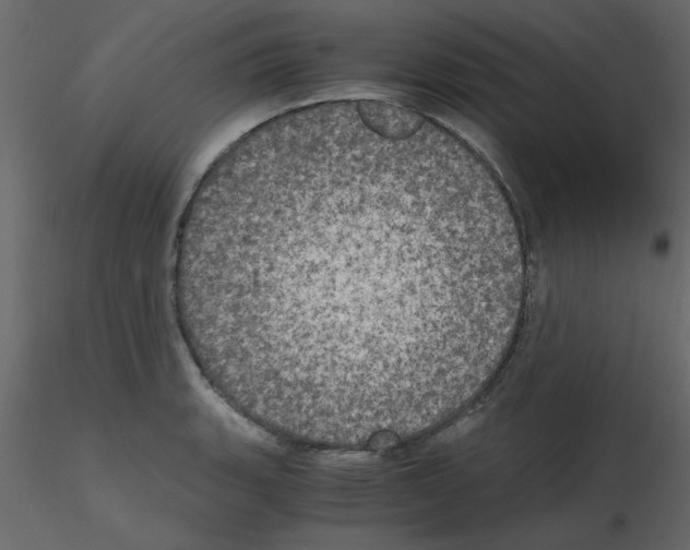 X0000115661135200912241353