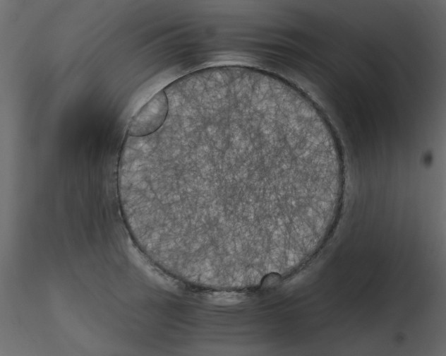 X0000115661137200912241353