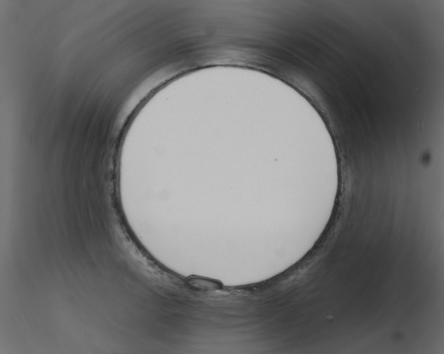 X0000115661138200912241353