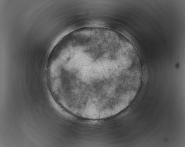 X0000115661139200912241353