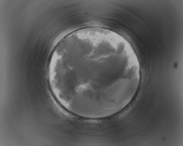 X0000115661141200912241353