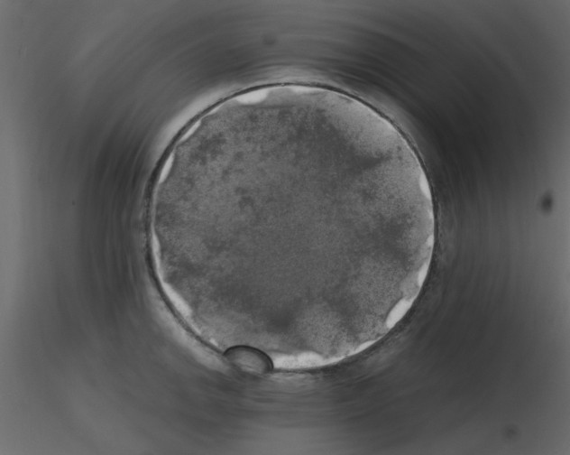 X0000115661142200912241353