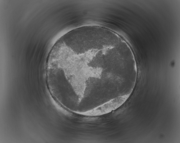 X0000115661143200912241353