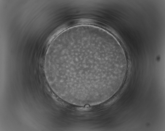 X0000115661145200912241353