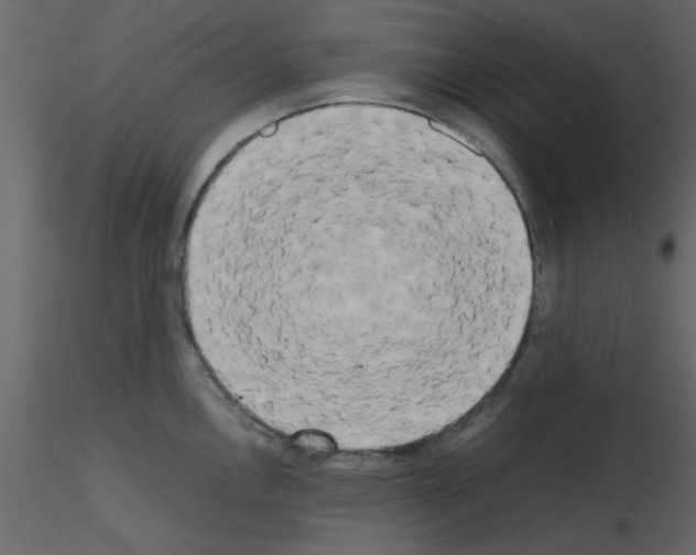 X0000115661146200912241353