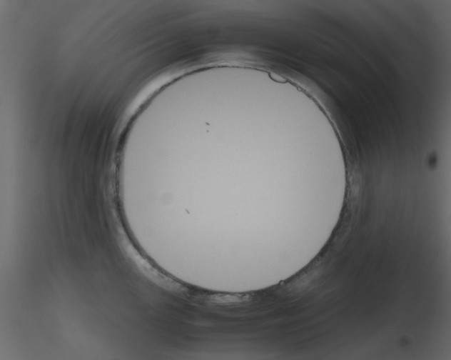 X0000115661147200912241353