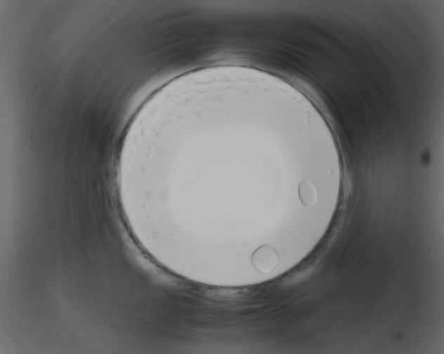 X0000115661149200912241353