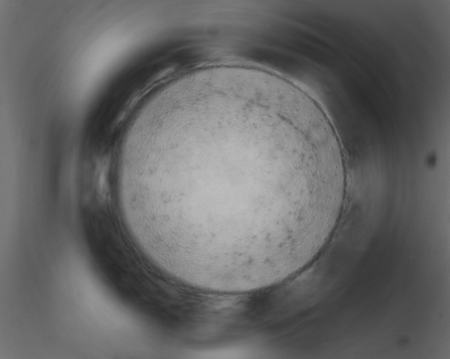 X0000115661150200912241353