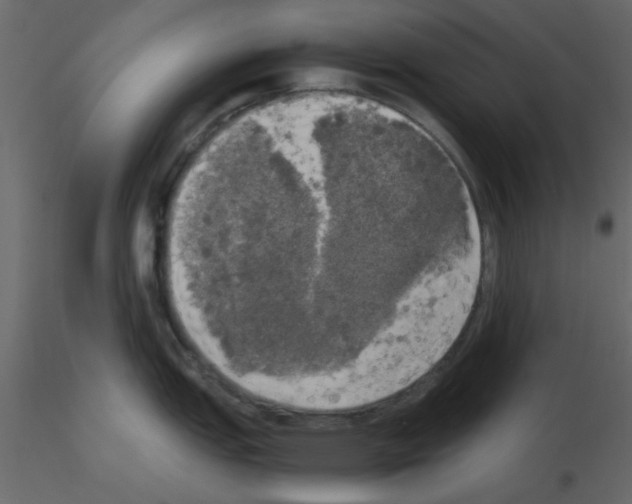 X0000115661151200912241353