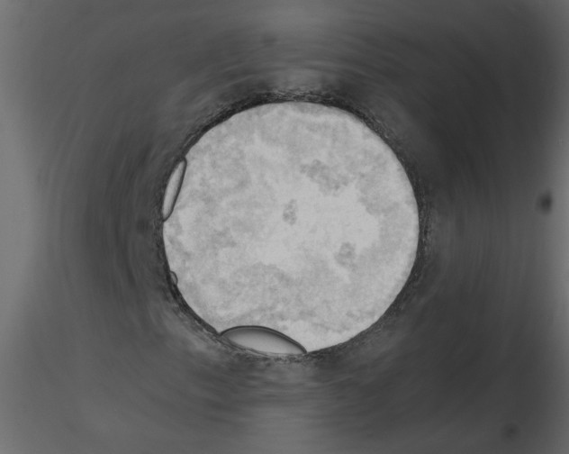 X0000115661153200912241353