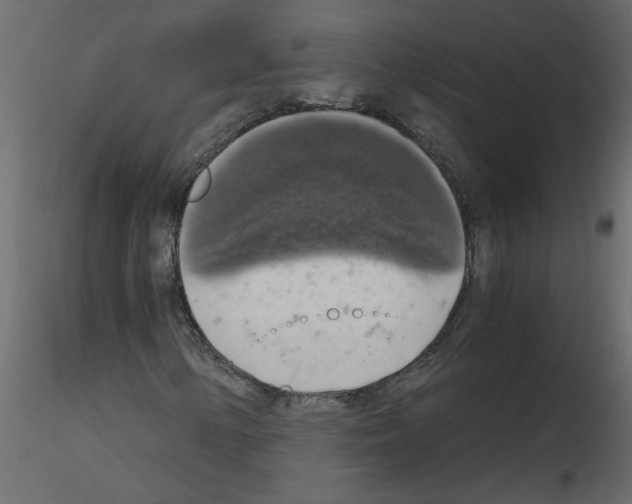 X0000115661154200912241353