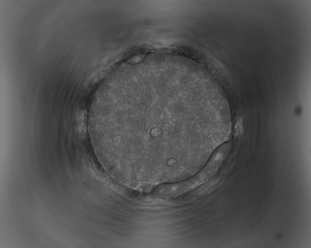 X0000115661156200912241353