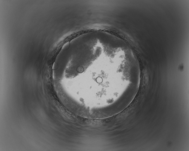 X0000115661158200912241353