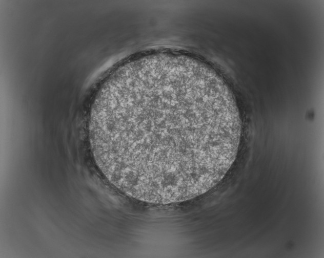 X0000115661159200912241353