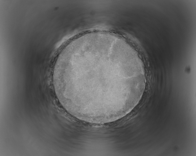 X0000115661160200912241353