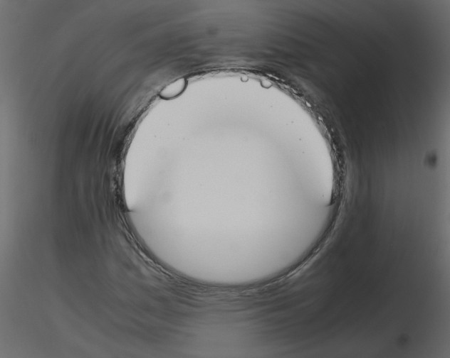 X0000115661161200912241353