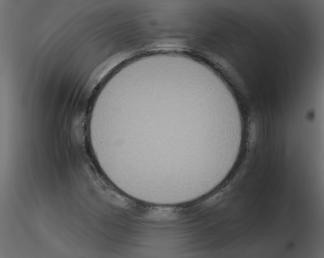 X0000115661162200912241353