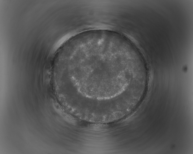 X0000115661163200912241353