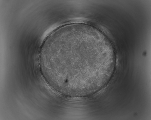 X0000115661164200912241353