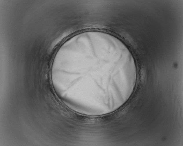 X0000115661165200912241353