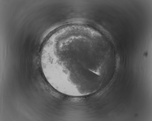 X0000115661166200912241353