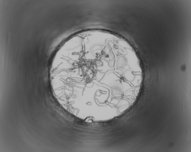 X0000115661167200912241353