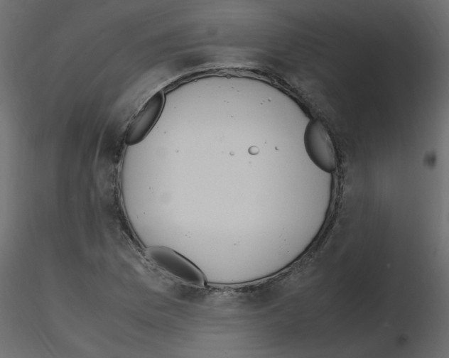 X0000115661169200912241352