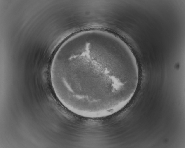 X0000115661170200912241352