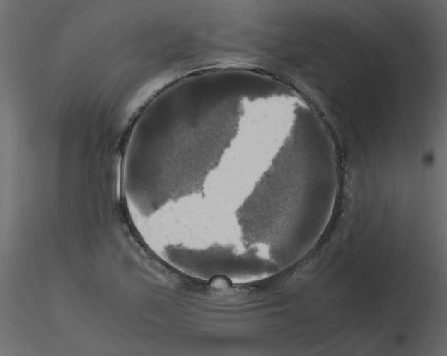 X0000115661171200912241352