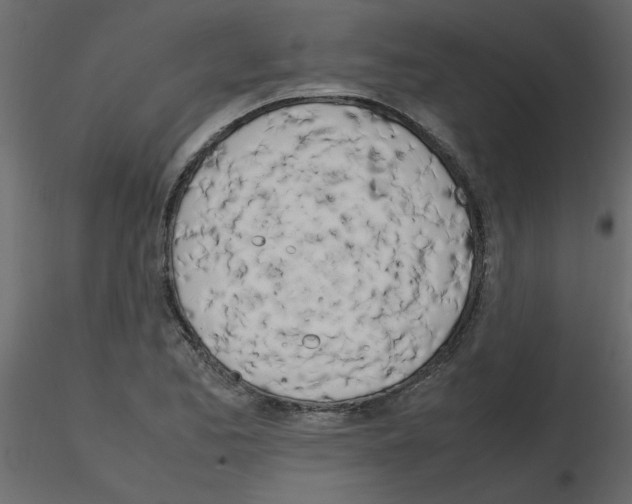 X0000115661173200912241352