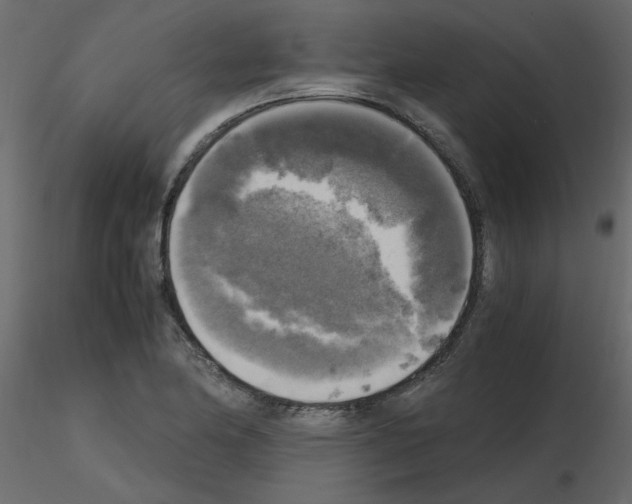 X0000115661174200912241352