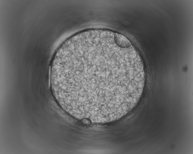 X0000115661175200912241352