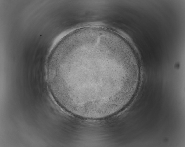 X0000115661176200912241352