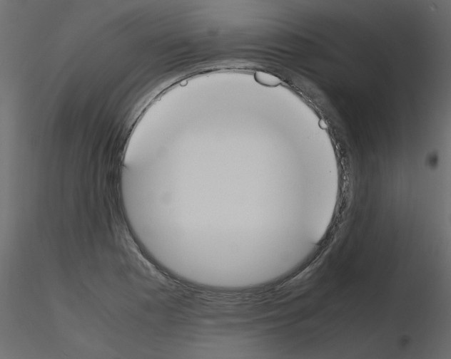 X0000115661177200912241352