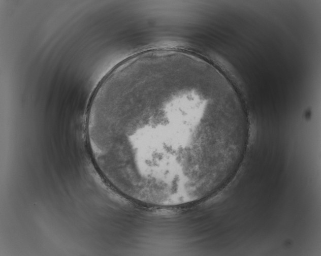 X0000115661178200912241352