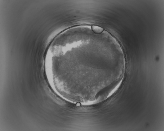 X0000115661179200912241352