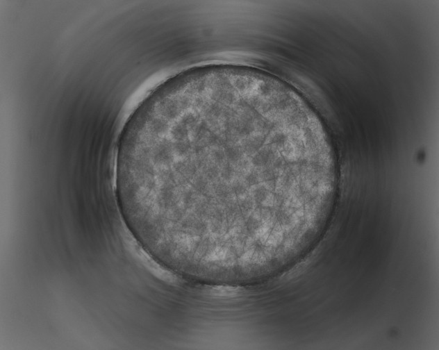 X0000115661180200912241352