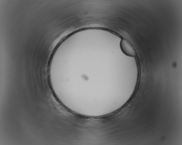 X0000115661181200912241352