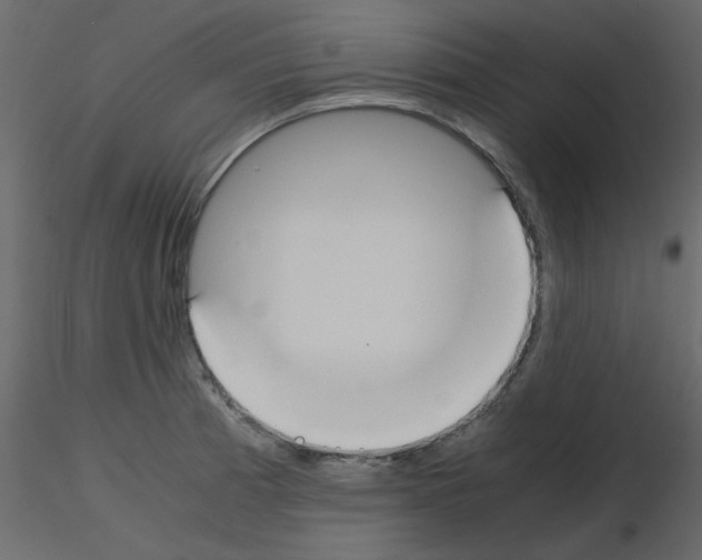 X0000115661185200912241352