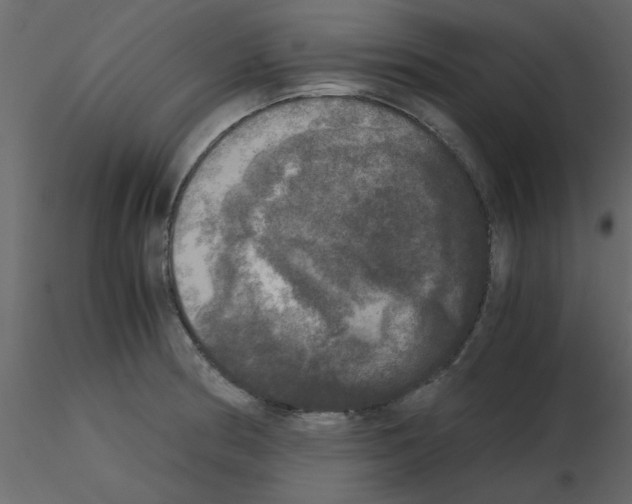 X0000115661186200912241352