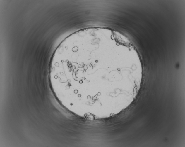 X0000115661187200912241352