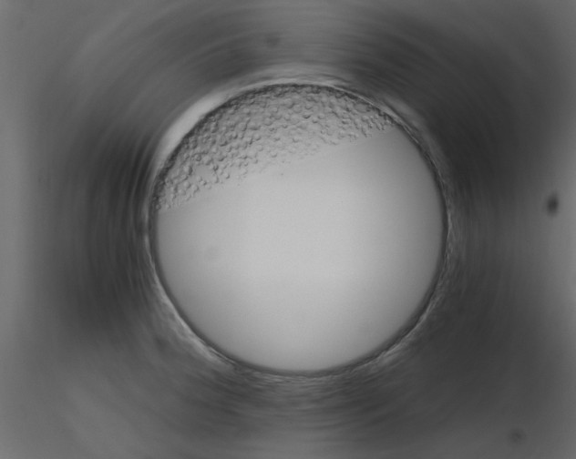 X0000115661188200912241352