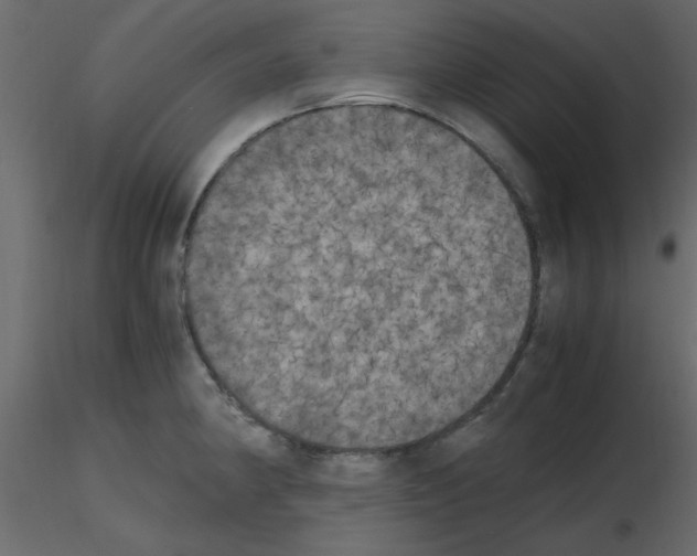 X0000115661190200912241352