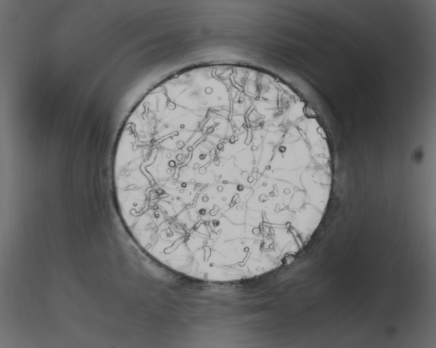 X0000115661191200912241352