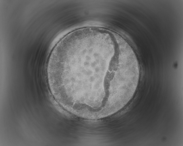 X0000115661192200912241352