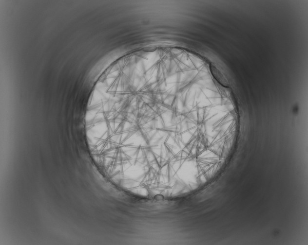 X0000115661193200912241352