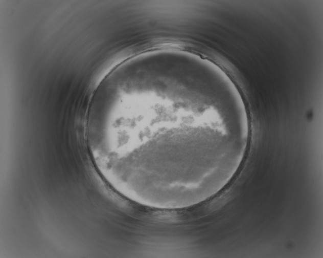 X0000115661194200912241352